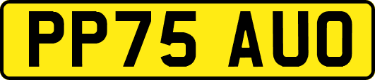 PP75AUO