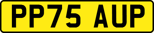 PP75AUP