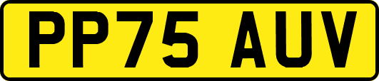 PP75AUV