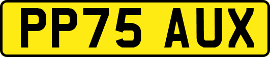 PP75AUX
