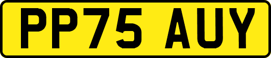 PP75AUY