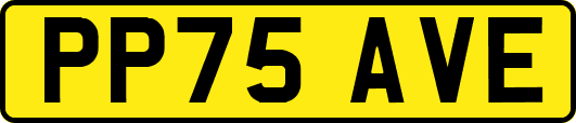 PP75AVE