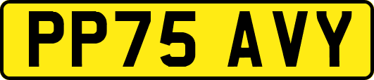 PP75AVY