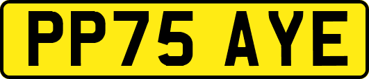 PP75AYE