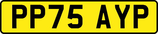 PP75AYP