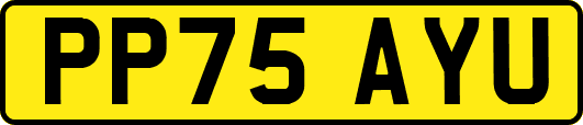 PP75AYU