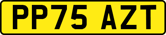 PP75AZT