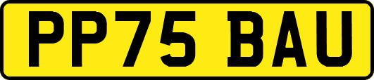PP75BAU