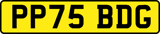PP75BDG
