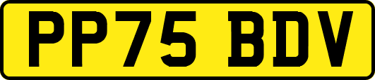 PP75BDV