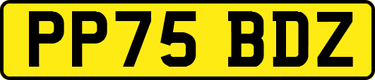 PP75BDZ