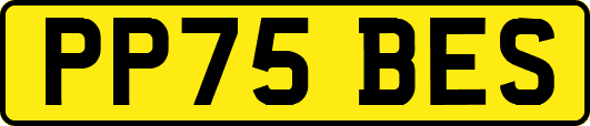 PP75BES