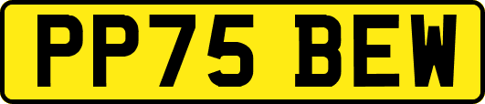 PP75BEW