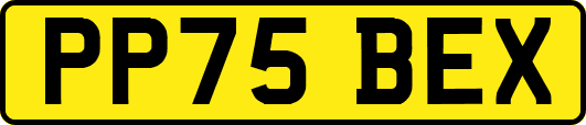 PP75BEX
