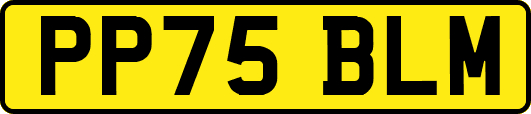 PP75BLM