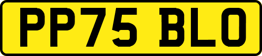 PP75BLO