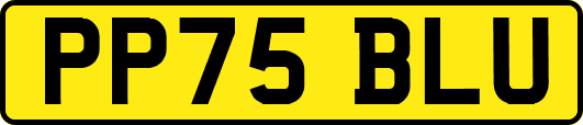 PP75BLU