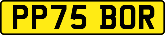PP75BOR