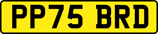 PP75BRD