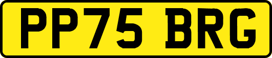 PP75BRG