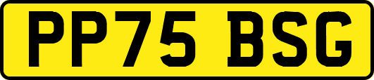 PP75BSG