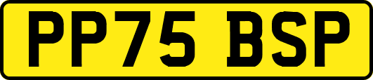 PP75BSP