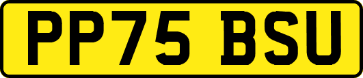 PP75BSU