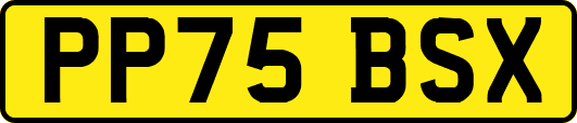 PP75BSX
