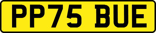 PP75BUE