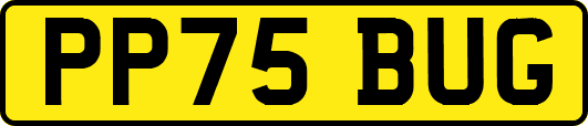 PP75BUG