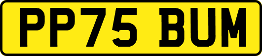 PP75BUM