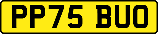 PP75BUO