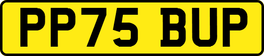 PP75BUP