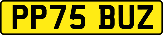 PP75BUZ