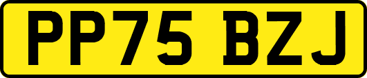 PP75BZJ