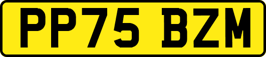 PP75BZM