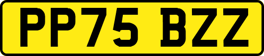 PP75BZZ