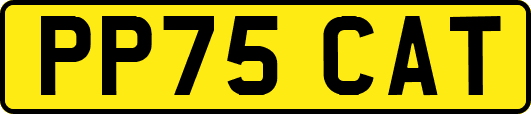 PP75CAT