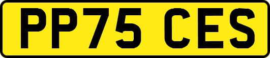 PP75CES