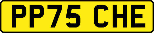 PP75CHE
