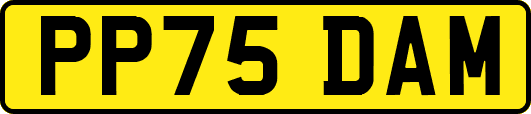 PP75DAM