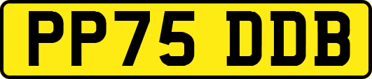 PP75DDB