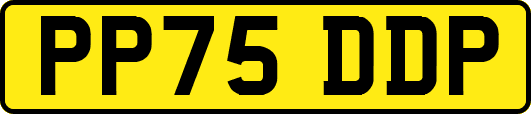 PP75DDP