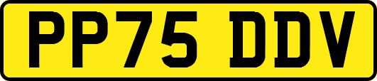 PP75DDV