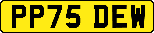 PP75DEW