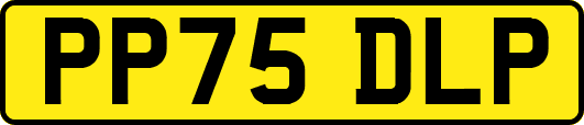 PP75DLP