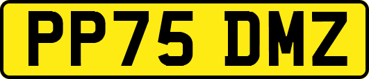 PP75DMZ