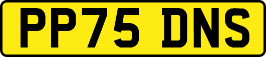 PP75DNS