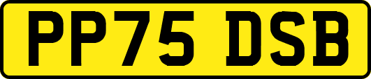 PP75DSB