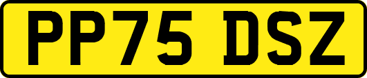 PP75DSZ